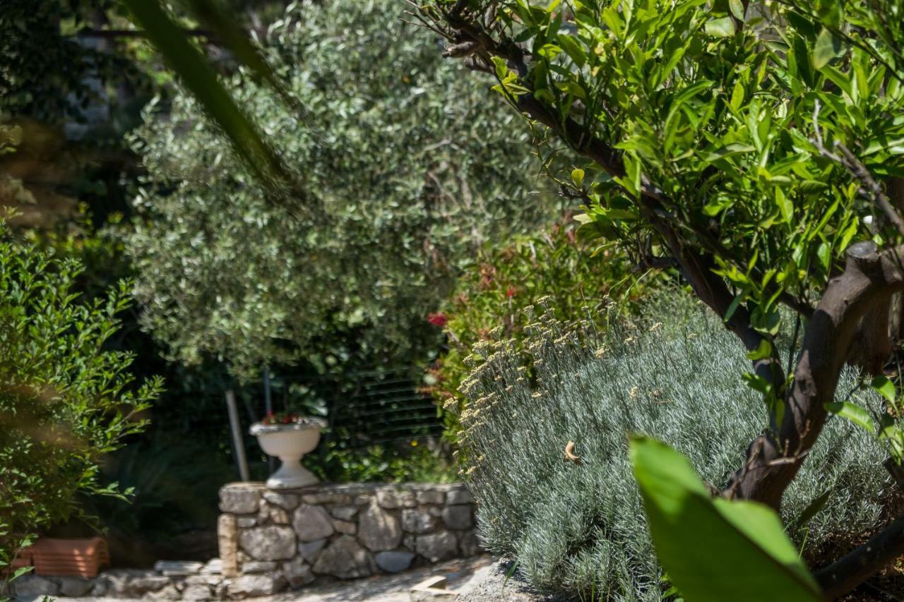 Villa Magnolia مالي لوشينغْ المظهر الخارجي الصورة